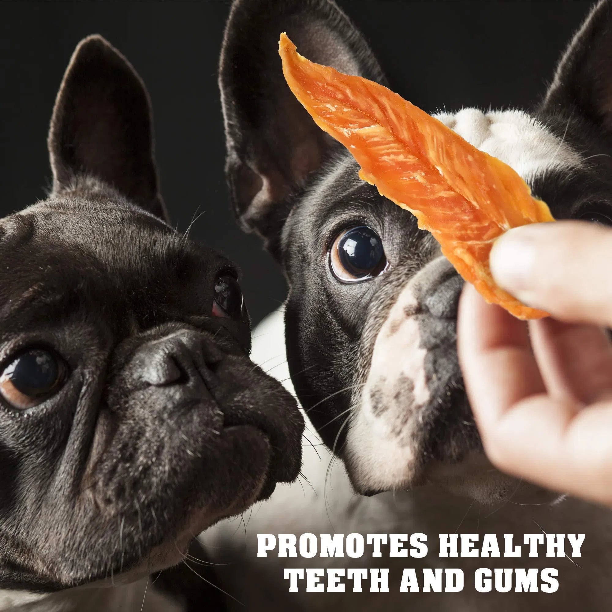 Chicken Jerky Dog Treats Grain Free High Protein Training Chews