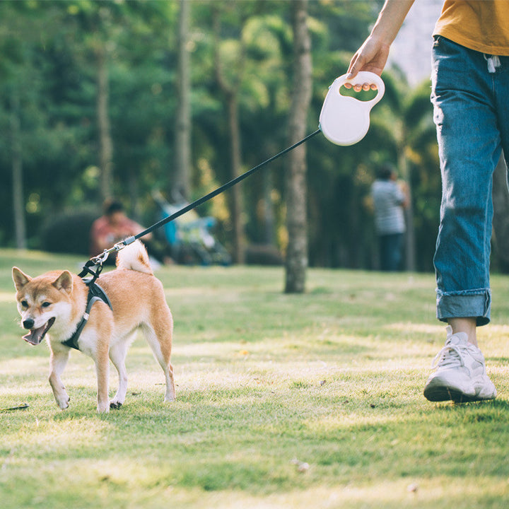 Pet Retractable Leash For Small Medium Large Pets