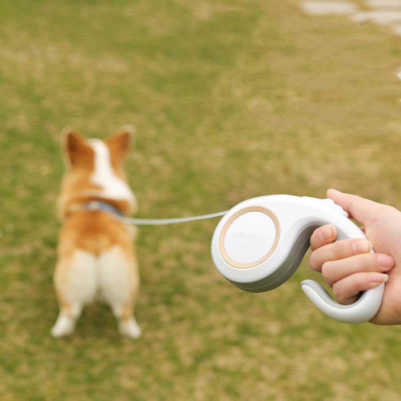 Automatic Retractable Pet Leash Walking Lead