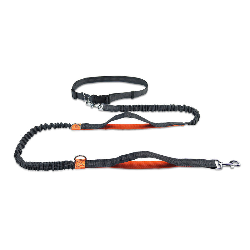 Multifunctional Reflective Double Telescopic Pet Running Leash Rope Lead