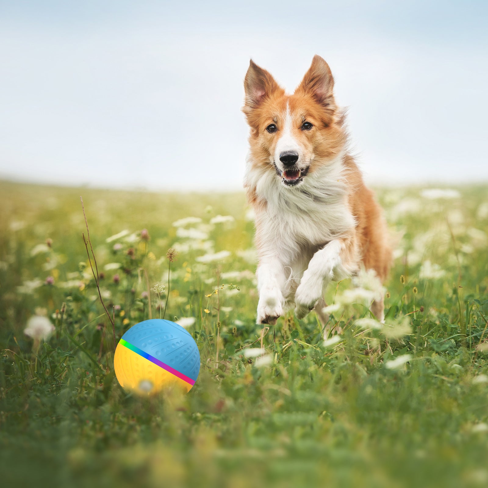 Pet Remote Control Interactive Bite Resistant Smart Toy Ball
