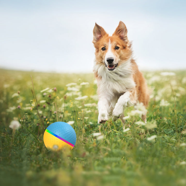 Pet Remote Control Interactive Bite Resistant Smart Toy Ball