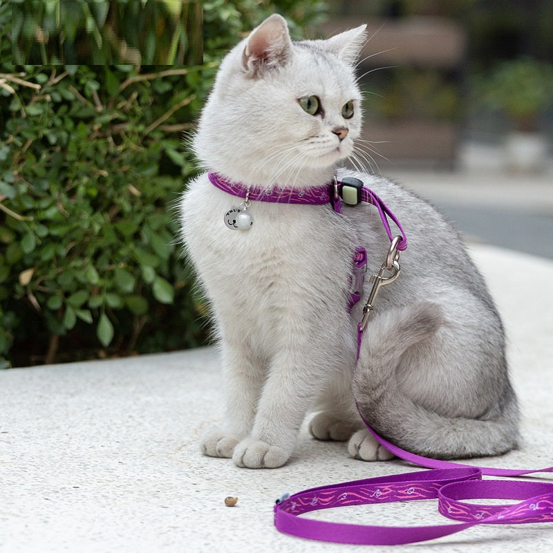 Pet Bell Chest Strap Haulage Rope Vest Leash Set