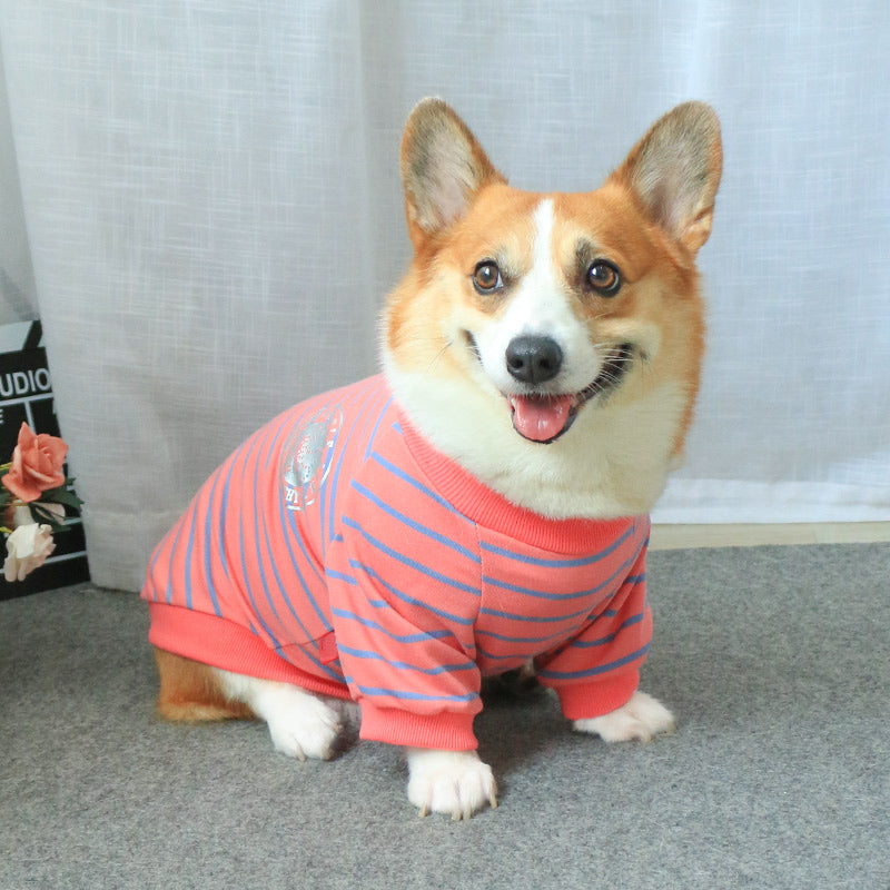 New Pet Owner Parent Child Matching Sweater Wear