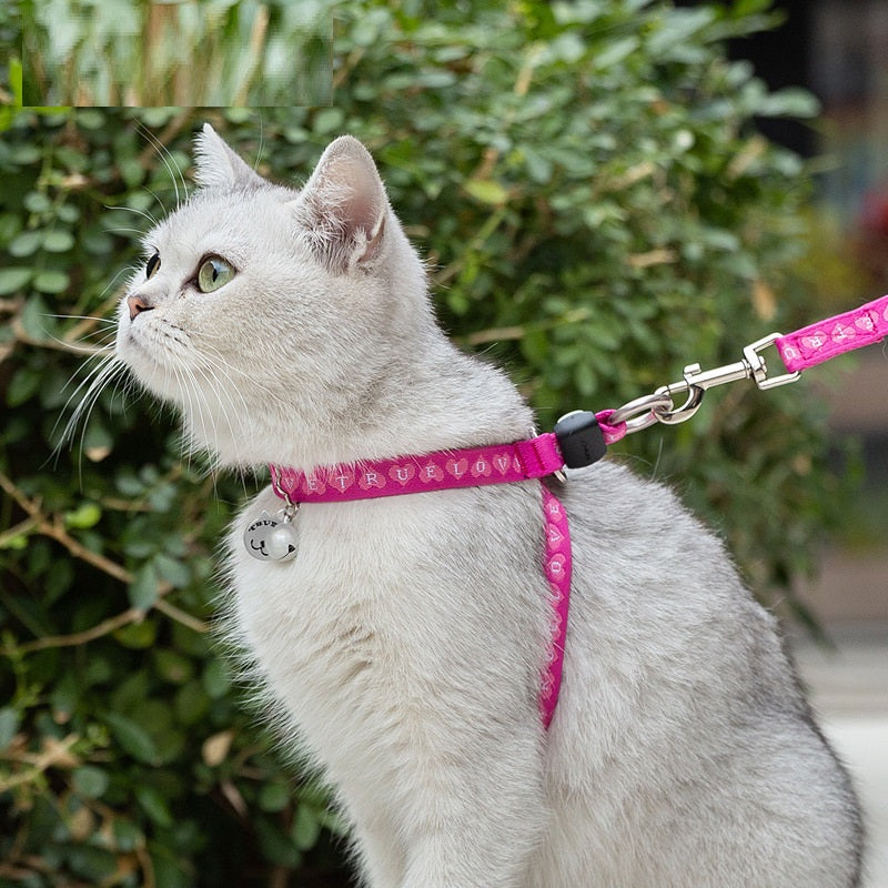 Pet Bell Chest Strap Haulage Rope Vest Leash Set