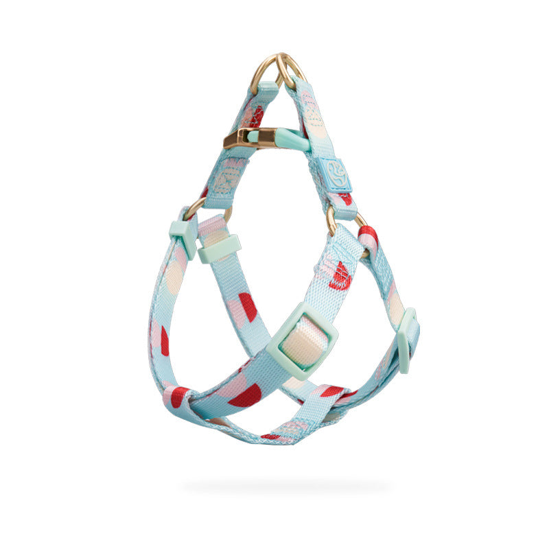 Fashion Y Shaped Pet Chest Harness Adjustable Leash