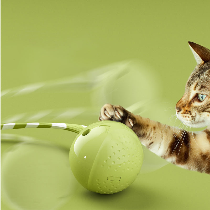 Pet Interactive Electric Motion Activated Ball Toy