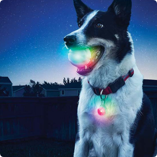Pet LED Glowing Bite Resistant Ball Toy