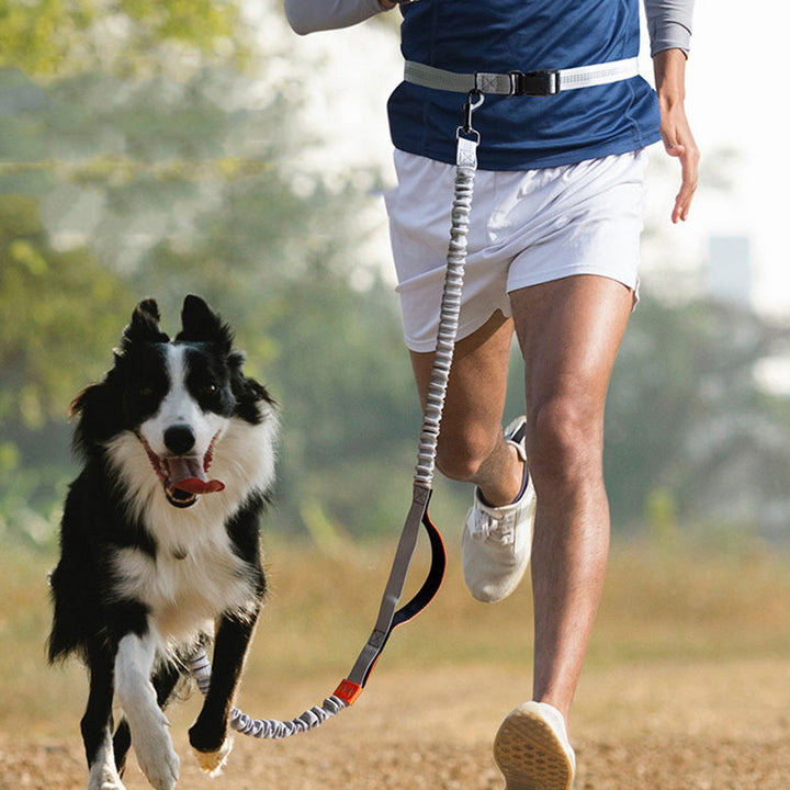 Outdoor Pet Running Leash Adjustable Training Lead